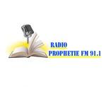 Radio Prophetie Fm 91.1 | Station Logo