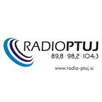 Radio Ptuj 98.2 | Station Logo