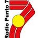 Radio Punto 7 Puerto Montt | Station Logo