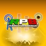 Radio Pura Banda | Station Logo