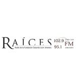 Raíces FM | Station Logo