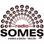 Radio SOMEȘ | Station Logo