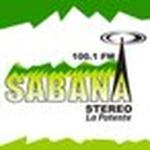 Sabana Stereo 100.1 | Station Logo