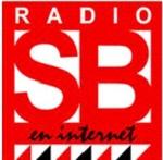 Radio San Borondón | Station Logo