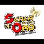 Radio Scala de Oro | Station Logo