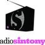 Radio Sintony | Station Logo