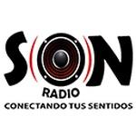 Radio Son de Costa Rica | Station Logo