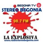 Radio Stereo Begonia | Station Logo