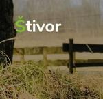 Radio Štivor | Station Logo