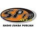 Radio SPFM Palu | Station Logo