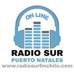 Radio Sur | Station Logo