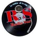 Radio Sur Valdivia | Station Logo