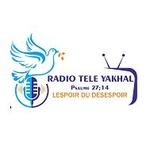 Radio Tele Yakhal | Station Logo