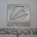 Radio Television Estepona | Station Logo