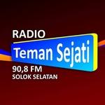 Radio Teman Sejati | Station Logo