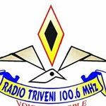 Radio Triveni 100.6 | Station Logo