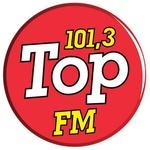 Top FM 101.3 | Station Logo