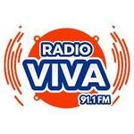 Radio VIVA 91.1 | Station Logo