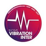 Radio Vibration Inter | Station Logo