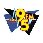 Rádio Viçosa 95 FM | Station Logo