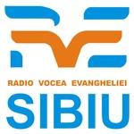 RVE Sibiu | Station Logo