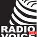 Radio Voice | Station Logo