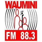 Radio Waumini | Station Logo