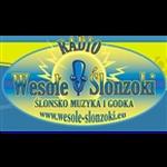 Radio Wesole Slonzoki | Station Logo