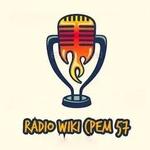 Radio Wiki | Station Logo