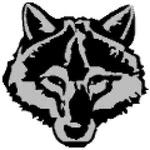 Radio Station logo