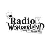 Radio Wonderland | Station Logo