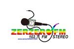 Radio Zerzer | Station Logo