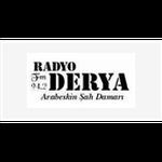 Radyo Derya 94.2 | Station Logo