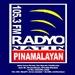 Radyo Natin Pinamalayan - DWMK | Station Logo