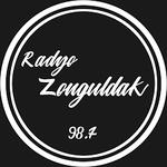 Radyo Zonguldak 98.7 | Station Logo