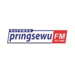 Rapemda Pringsewu 107.2 | Station Logo