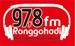 Radio Ronggohadi | Station Logo