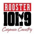 Rooster 101 | Station Logo