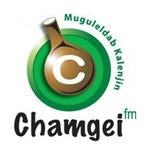 Royal Media Services - Chamgei FM | Station Logo