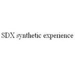 SDX Synthetic Experience | Station Logo