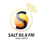 Salt 95.9 FM | Station Logo