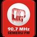 Semeru FM 90.7 | Station Logo