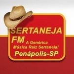 Sertaneja FM | Station Logo