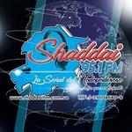 Shaddai 95.1 FM | Station Logo