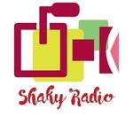 Shaky Radio | Station Logo