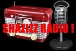 Shazizz Radio | Station Logo