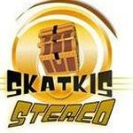 Skatkis Stereo | Station Logo