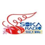 Soka Radio 102.1 | Station Logo