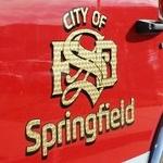 Springfield, Nixa, Ozark, Republic, Marshfield and Greene County Fire | Station Logo