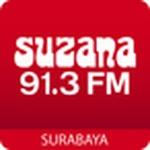 Suzana 91.3 FM | Station Logo